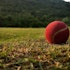 Best Cricket Betting Apps in India [Reviewed by Indians]