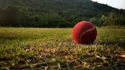 Best Cricket Betting Apps in India [Reviewed by Indians]